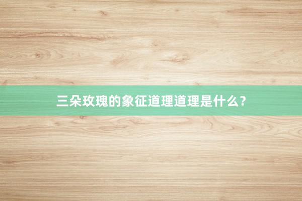 三朵玫瑰的象征道理道理是什么?